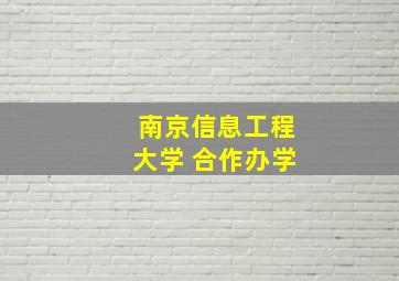 南京信息工程大学 合作办学